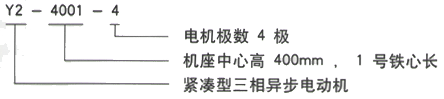 YR系列(H355-1000)高压YKK5603-10/630KW三相异步电机西安西玛电机型号说明